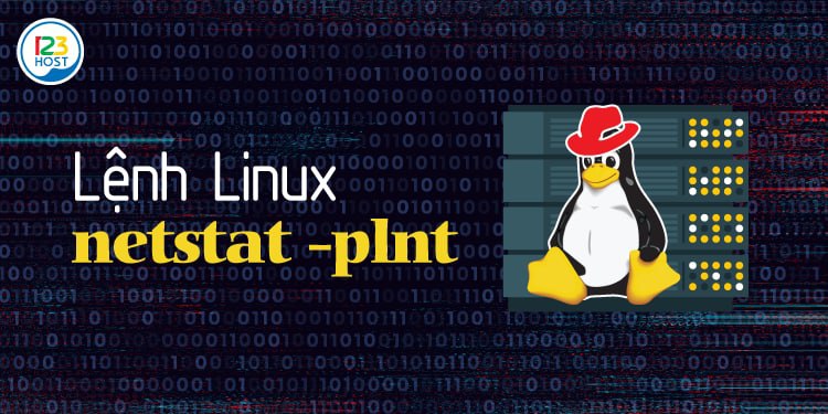Lệnh liệt kê các port đang mở trên máy chủ Linux