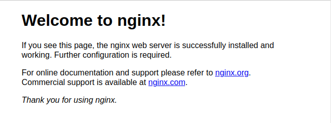 Default Nginx Landing Page