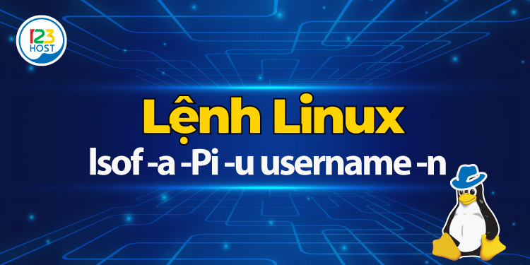 Lệnh liệt kê kết nối mạng của một người dùng nhất định trên Linux