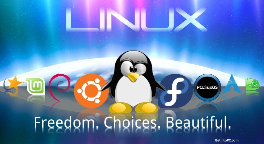 lựa chọn linux